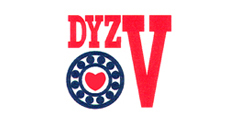 大冶轴DYZV