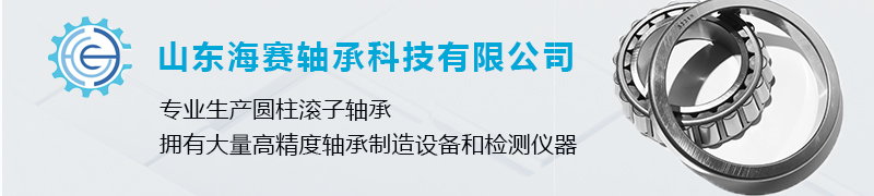 山东海赛轴承科技有限公司