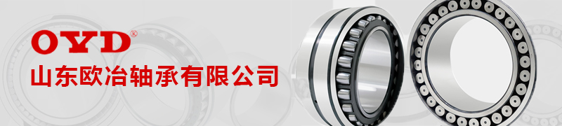 山东欧冶轴承有限公司