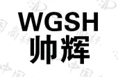 临清市帅辉轴承有限公司